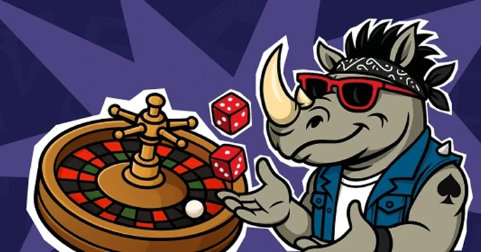 spinorhino registration
